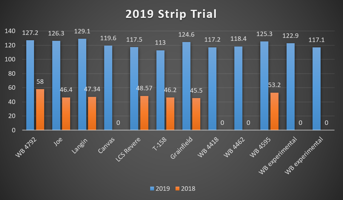 2019 Strip Trial